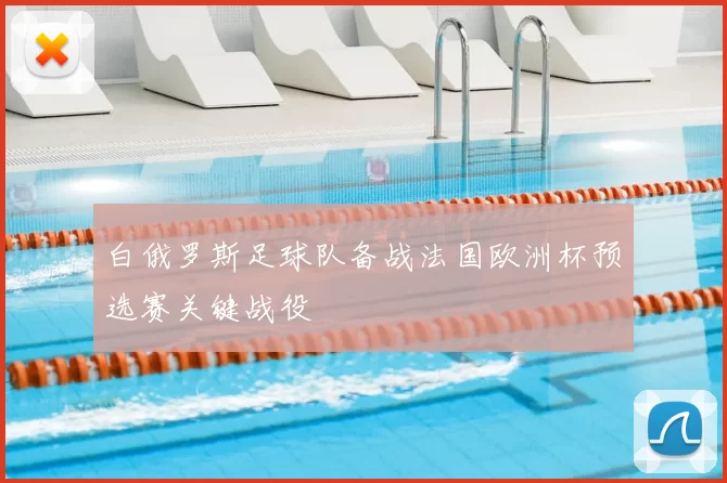 白俄罗斯足球队备战法国欧洲杯预选赛关键战役