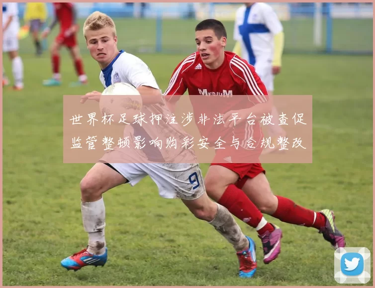 世界杯足球押注涉非法平台被查促监管整顿影响购彩安全与合规整改