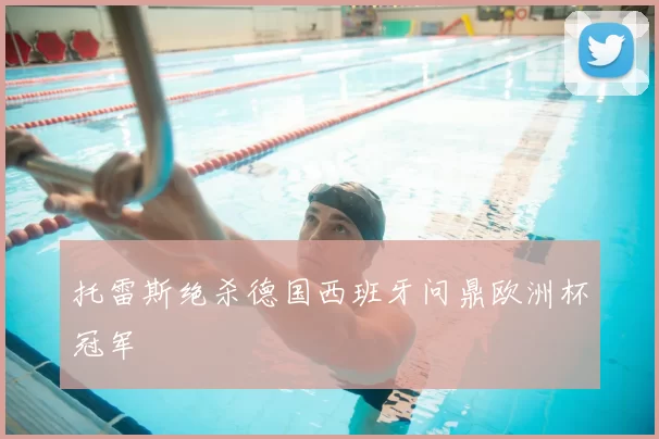 托雷斯绝杀德国西班牙问鼎欧洲杯冠军