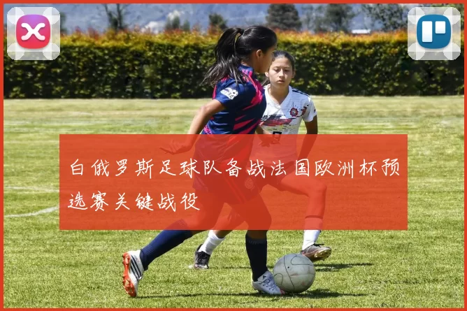 白俄罗斯足球队备战法国欧洲杯预选赛关键战役