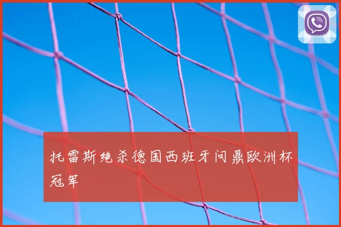 托雷斯绝杀德国西班牙问鼎欧洲杯冠军