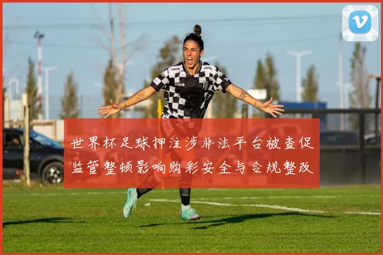 世界杯足球押注涉非法平台被查促监管整顿影响购彩安全与合规整改